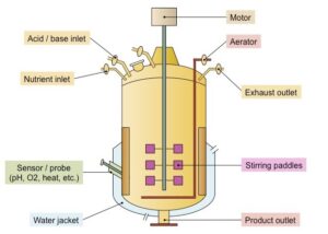 Read more about the article What is Fermenter and How Does It Work?